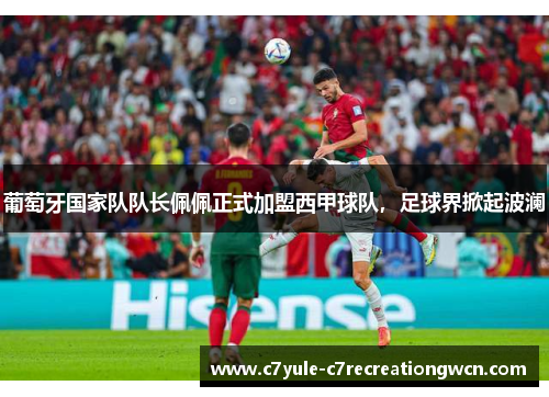 葡萄牙国家队队长佩佩正式加盟西甲球队，足球界掀起波澜